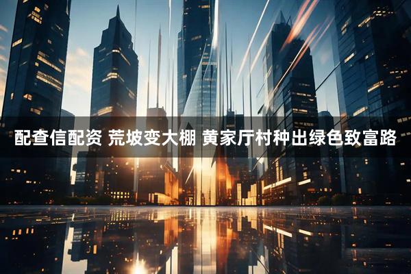 配查信配资 荒坡变大棚 黄家厅村种出绿色致富路